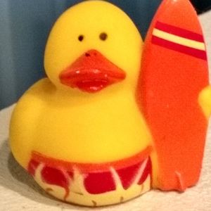 Meet your Posher, Terry